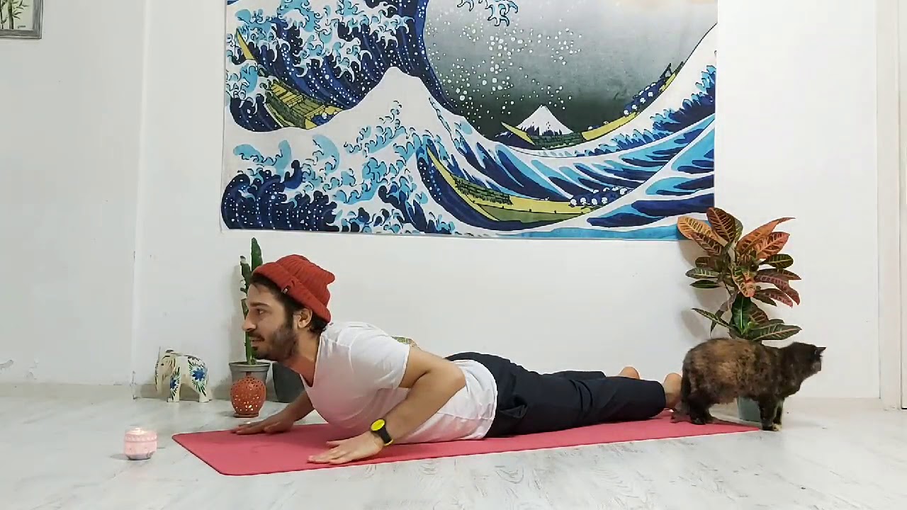 Kobra Pozu Nasıl Yapılır? Pozda Derinleşmek İçin Nelere Dikkat Etmek  Gerekir?