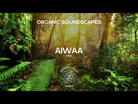 Organic Soundscapes By AIWAA Mix 001 Best Of Organic House Ethnic House 