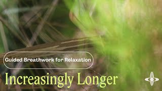 Increasingly Longer | Breathwork for Anxiety