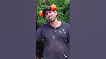 Get Building Quotes in Minutes