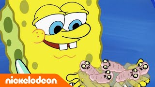 SpongeBob | SpongeBob Memelihara CACING Peliharaan?! 😱 | Nickelodeon Bahasa