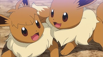 Eevee meets Eevee