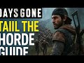 Days Gone - Tail The Horde - Easy Method So You Don't Get Spotted