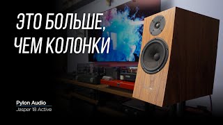 ОБЗОР активных колонок Pylon Audio Jasper 18 Active Monitor by iamhear 9,954 views 3 weeks ago 13 minutes, 19 seconds