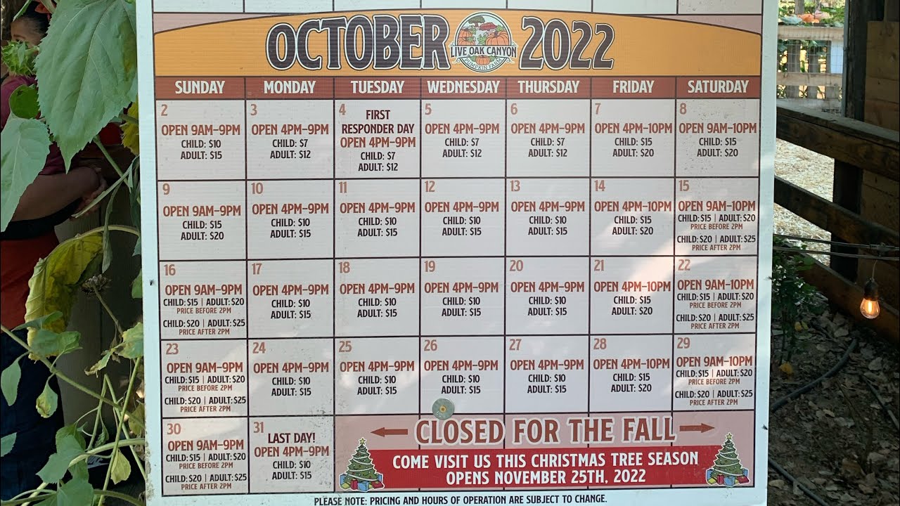 Live Oak Canyon Pumpkin Farm in So Cal. Pricing info and More! Know BEFORE you go. 2022 (Part Two)