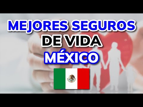 🥇 3 Mejores