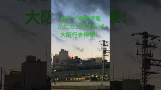 JR三ノ宮駅特急かにカニはまかぜ大阪行き停車