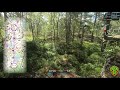 Beautiful Open Terrain! (Orienteering Headcam)