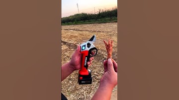 Multi-function cutting scissors #short M760