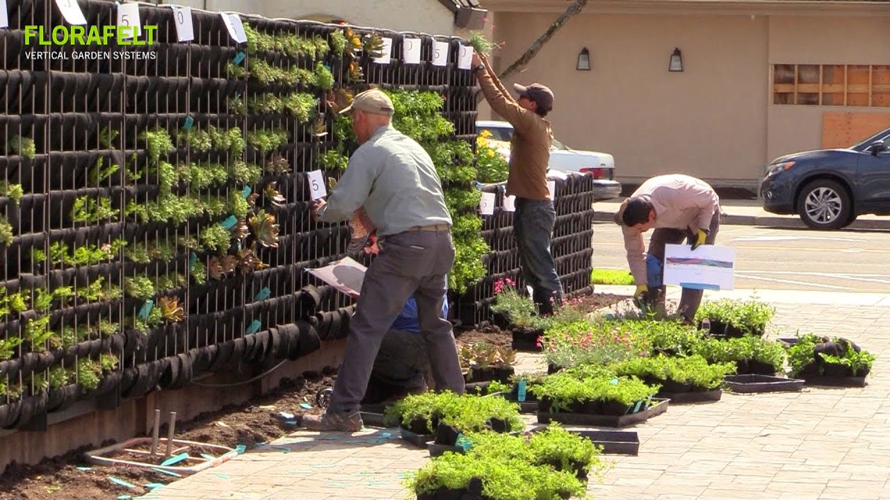 Florafelt Pro System Vertical Garden Installation Youtube