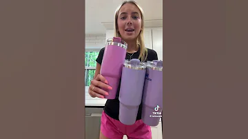 Labubu Stanley Cup Proof TikTok Can Sell You Anything Late Stage Capitalism Labubu Stanleycup 