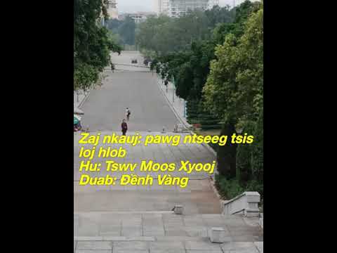 Video: Vim Li Cas Cov Nroj Tsuag Tsis Loj Hlob Hauv Aquaium