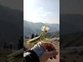 A mantis with a crown of petals landed on my hand—proof that the real wonder was still ahead.