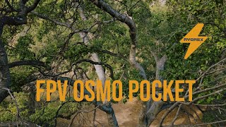 Osmo Pocket Aerials with DJI FPV