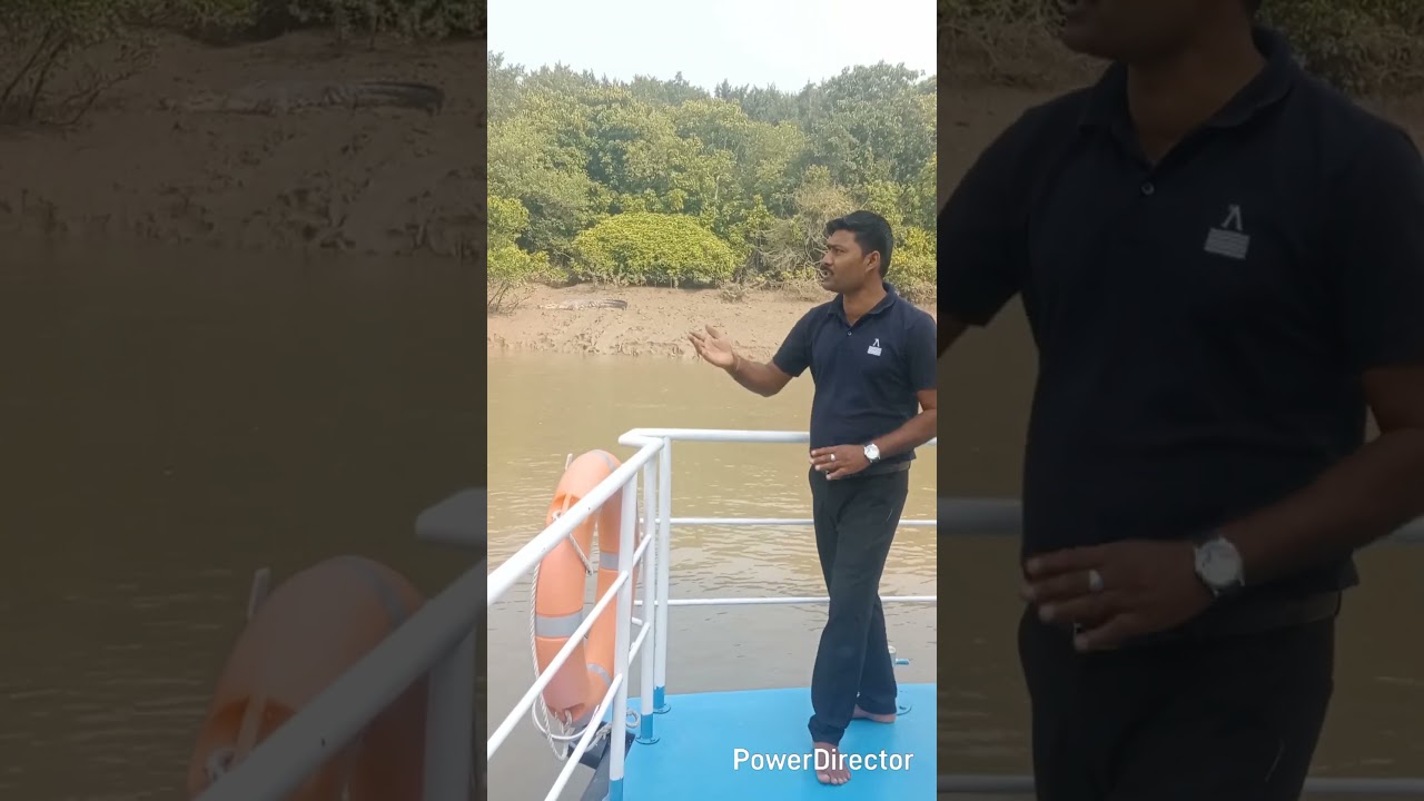 ଭିତକନିକା ର ଏହି ଜାଗାରେ ଦେଖିବାକୁ ମିଳେ...