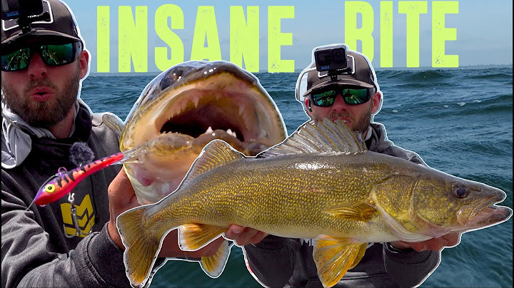 The Most INSANE GIANT Walleye Fishing EVER!