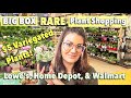 $5 Variegated Bear Paw! Big Box Rare Plant Shopping | Lowe's, Home Depot, & Walmart | Plant Haul