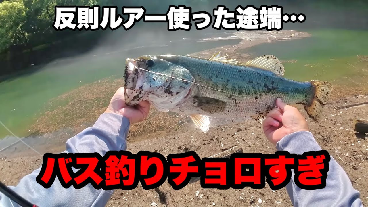 途中まで苦戦してたのに封印してた反則ルアー使った途端、嘘みたいに釣れました