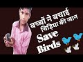 😢बच्चों ने बचाई चिड़िया की जान 🐦🐦|||पक्षियों को बचाएं 🐦||Save Birds 🐦🐦