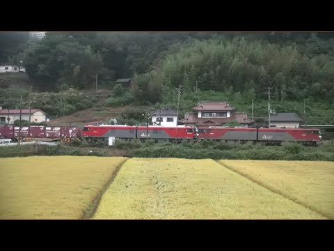 東北本線 久田野-泉崎 ３４号機ＯＭ出場ムド配給通過 2023.09.16