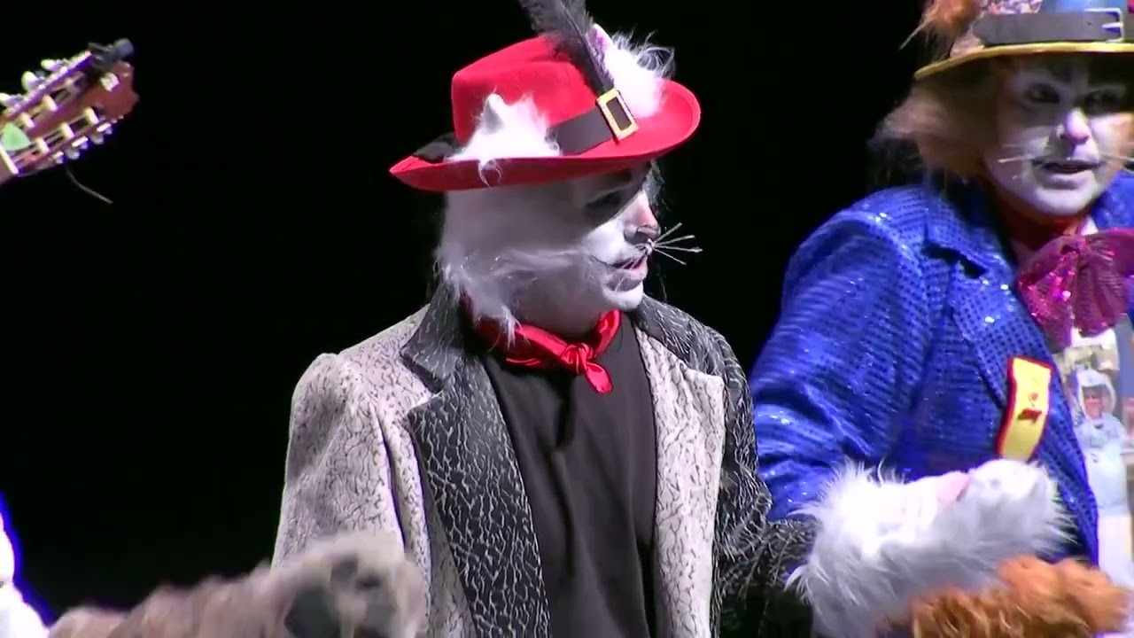 Chirigota - Aquí mando yo