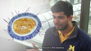 Shenoy Lab: Discovery Research Week, 2026