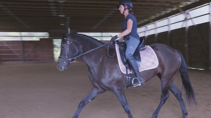 Lesson 13: Leg Yielding  for the Beginner Dressage...