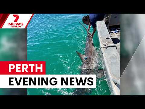 Interest rates hit 15-year high; Whale carcass attracts sharks; Bizarre citizen's arrest | 7NEWS