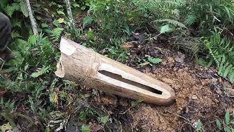 #105. Cuộc Sống Sinh Tồn, Phiêu Lưu Trong Rừng, Cuộc Sống Tự Nhiên