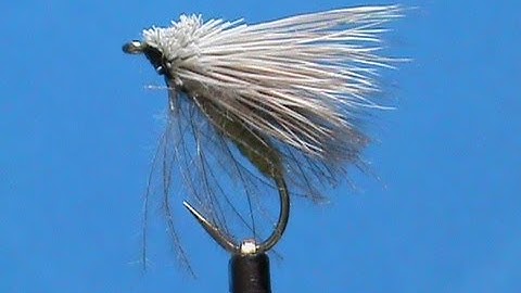 Fly Tying For Beginners a CDC Hairwing Caddis with Jim Misiura