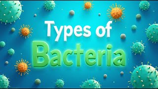 The Different Types of Bacteria Explained | Shapes, Classification & Importance