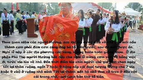 Vấn đề văn hóa truyền thống Việt Nam || LỄ HỘI CÚNG CƠM MỚI CỦA NGƯỜI MƯỜNG PHÚ THỌ (Bản chuẩn)