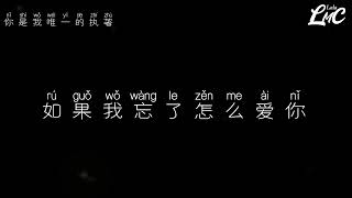 Nǐ shì wǒ wéiyī de zhízhuó 你是我唯一的执著演唱：李冰\u0026马健涛