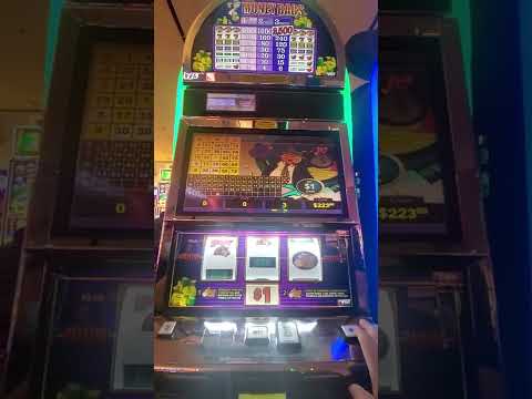 Hot Safari 50,000 | GRAND CASINO LEON