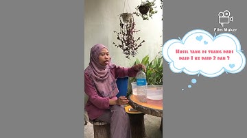 Mini Project (flow of Fluids & Bernoulli