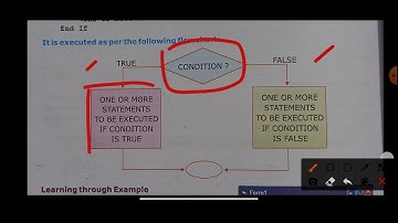 Class 8 Computer Ch 10 Visual basic control structures lec 2