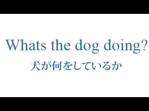 Monogatari meme #1
