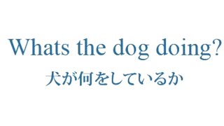 Monogatari meme #1