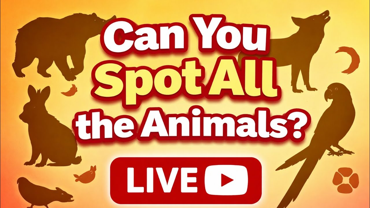 How many Animals in the picture?🤔