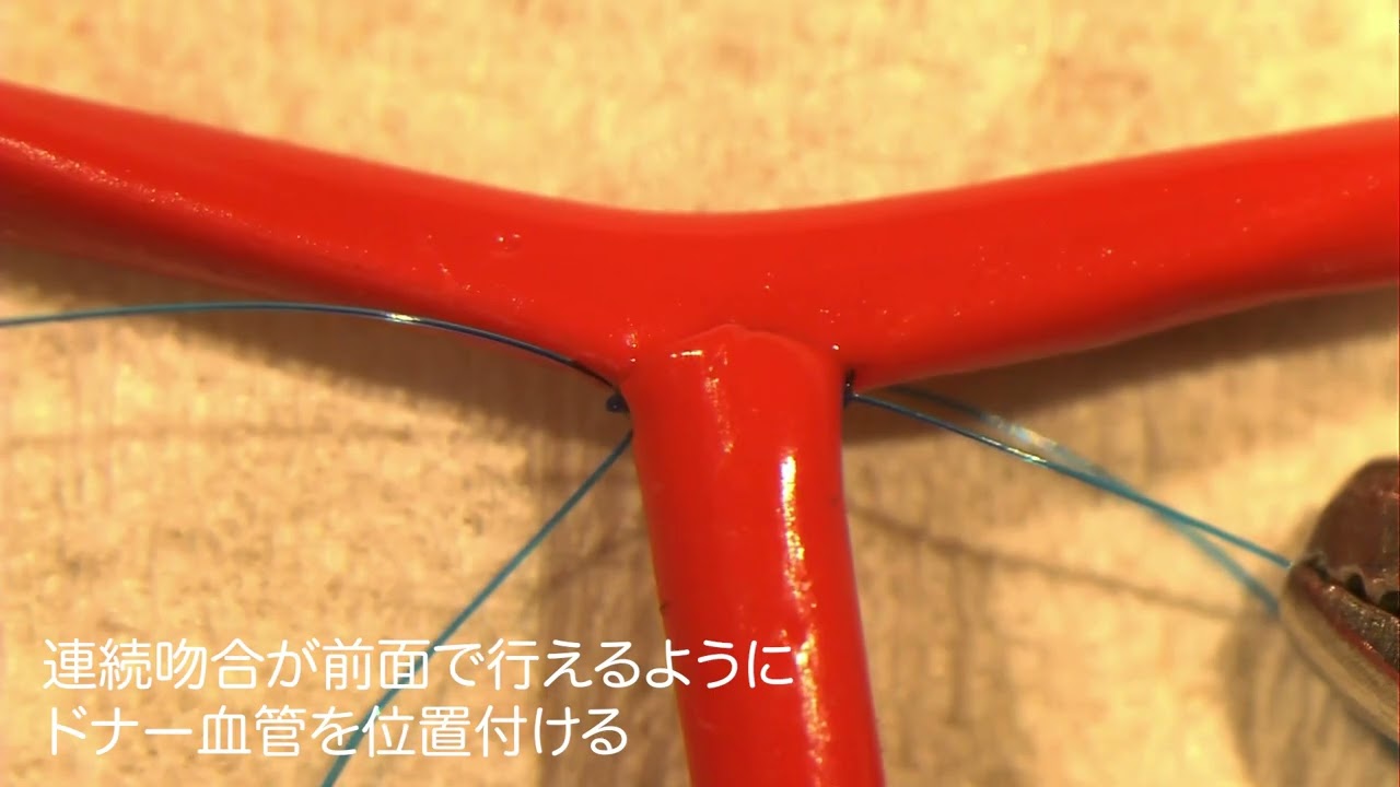 マイクロサージャリー用血管モデル - サンアロー株式会社