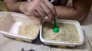 طريقة تنظيم وتقليل الهدر  من اكل عصافير البادجى الاسترالى ونسب خلط الحبوب
