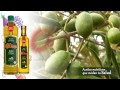 El olivar   aceite extra virgen sabor intenso