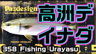 イナダ！まだまだ釣れる　ゲキ渋　高洲海浜公園　#コアマンZETTAI