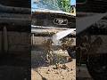 ASMR Car Restoration! Ford Mustang 1965 Full Restoration #mustang1965 #shorts  #asmr