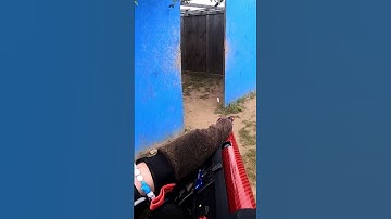 Annihilating Black Ops Airsoft #shorts