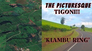 'Tigoni's Hidden Secrets: Beyond the Picturesque Surface of the'KIAMBU RING!!