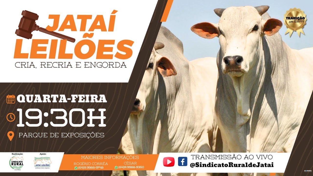 JATAÍ LEILÕES - CRIA, RECRIA E ENGORDA  - 14 DE JANEIRO DE 2026