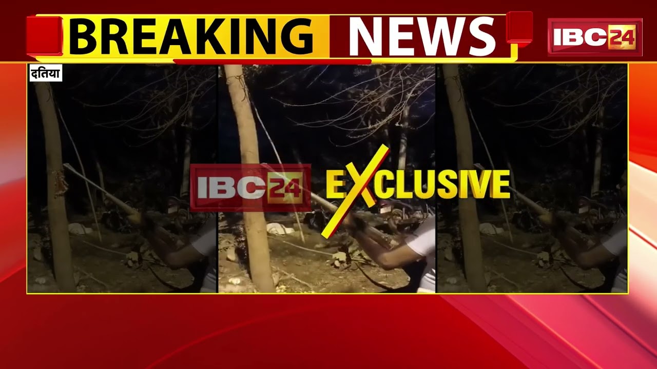 Datia News: BJP पार्षद Kallu Kushwaha का फायरिंग करते Video Viral | Madhya Pradesh