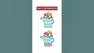 Find 3 Differences #114