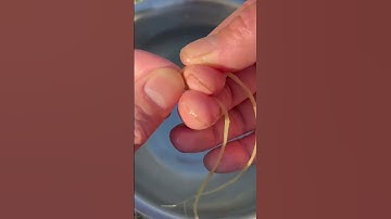 Making yucca leaves into cordage.